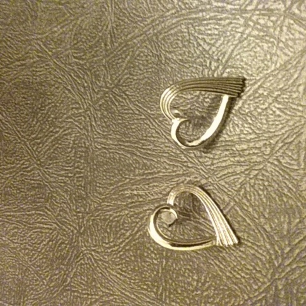 Heart Earrings ❄️ Winter Sale ❄️